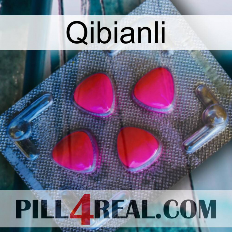 Qibianli 13